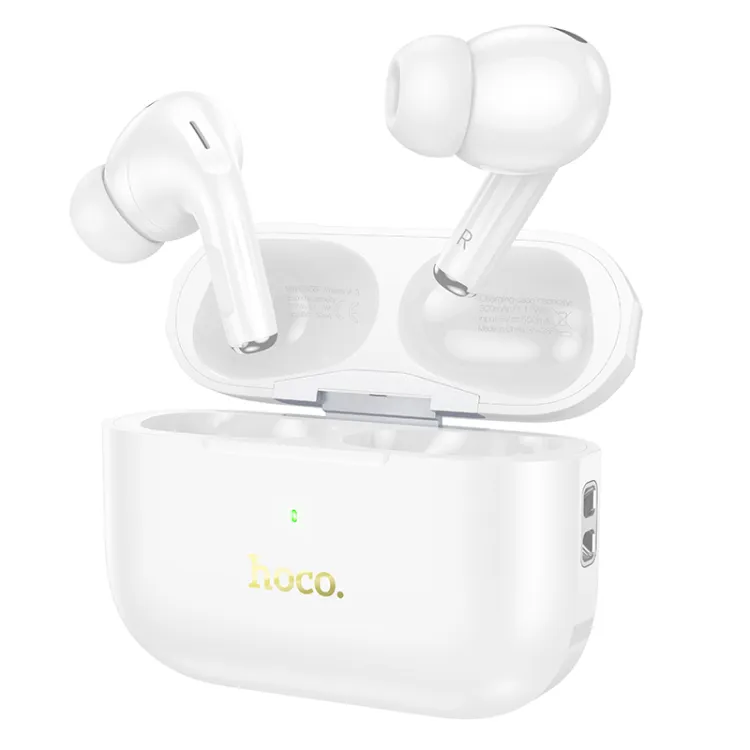 Hoco EW56 Plus ANC True Wireless Earbuds